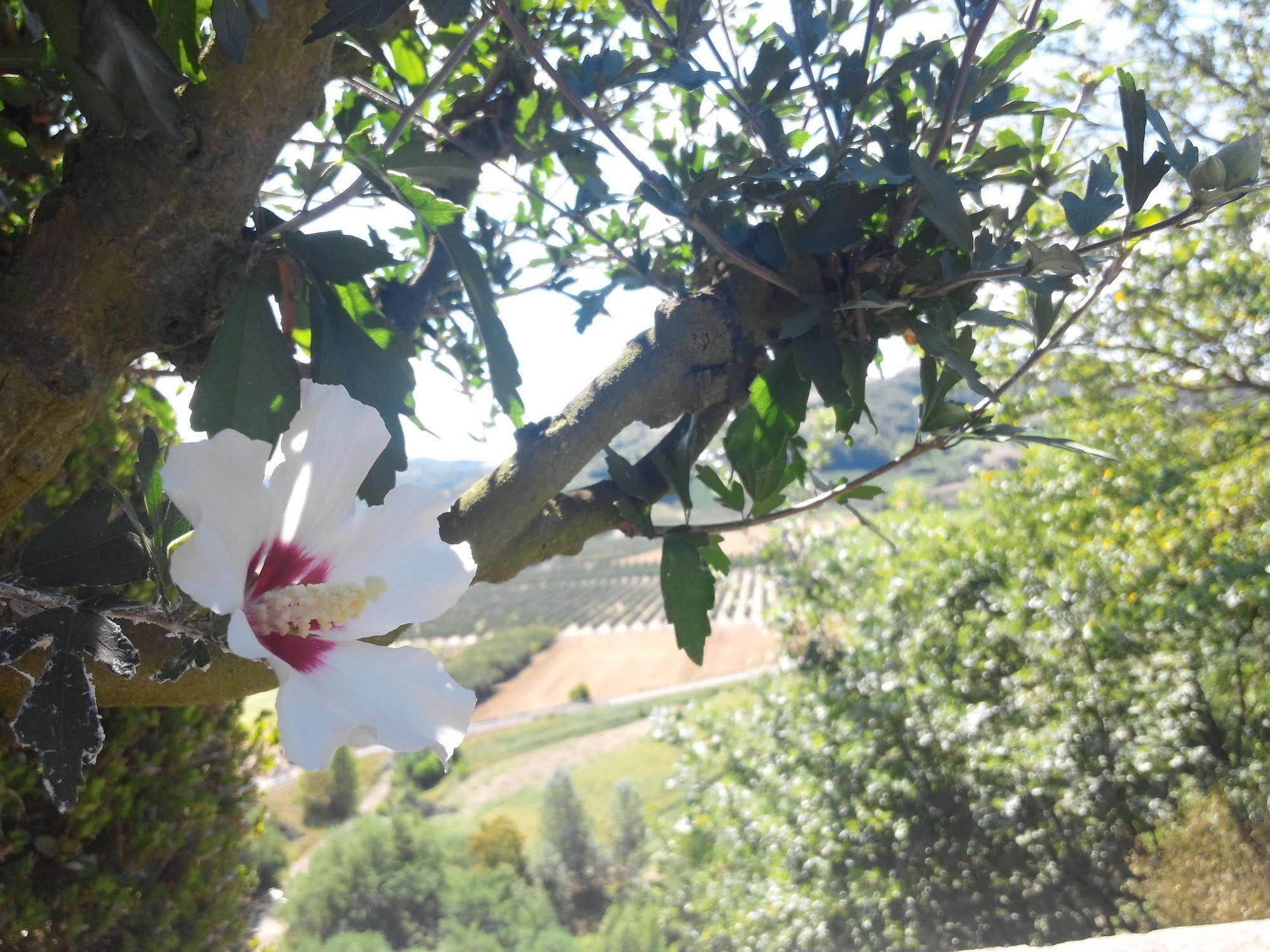 Hotel Il Castello Di
